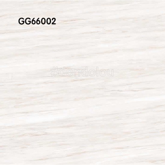 Goodwill Floor Tiles 600x600mm GG66002