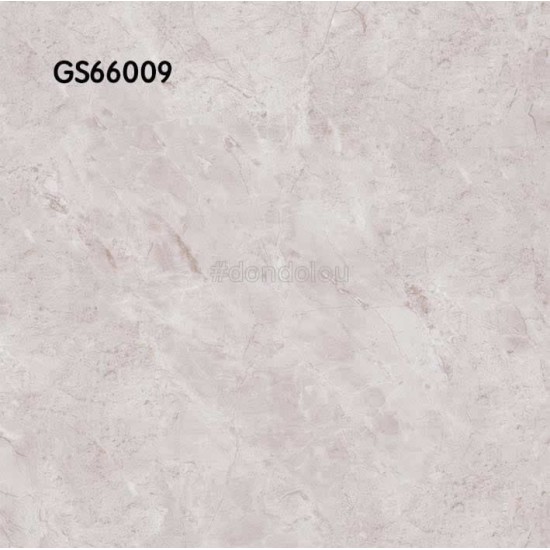 Goodwill Floor Tiles 600x600mm GS66009