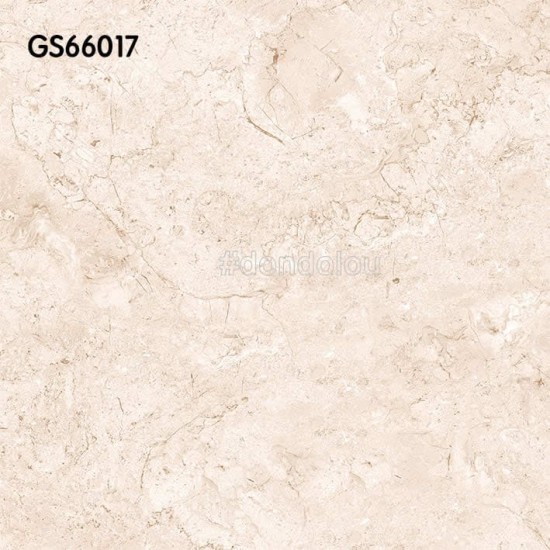 Goodwill Floor Tiles 600x600mm GS66017