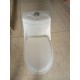 Ceramic White Toilet Seat with Cistern